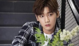 张正宸恋情爆料最新消息,神秘女友身份揭晓，细节揭秘引热议